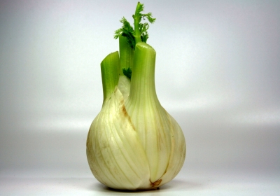 Fenchel