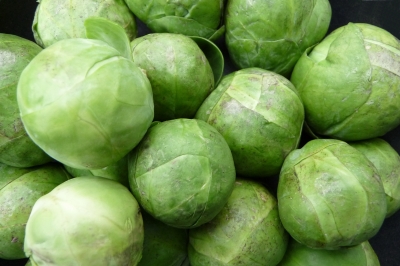 Rosenkohl