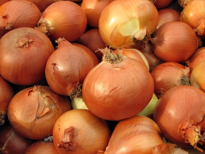 Zwiebel