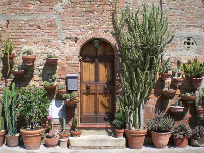 Mediterraner Garten