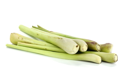Zitronengras