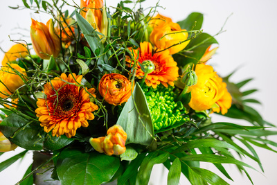 Die Haltbarkeit von Schnittblumen verlängern